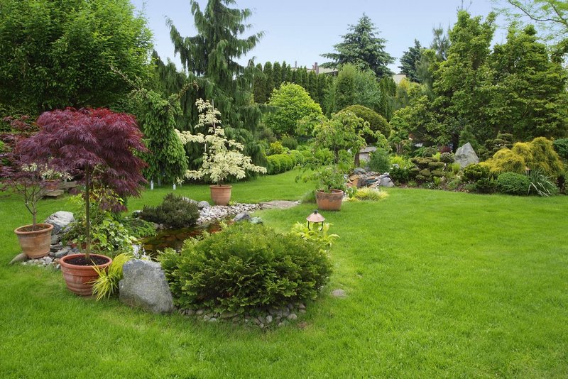 Servizio giardinaggio a Bologna